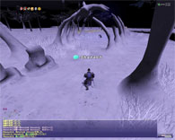 ffxi-00070.jpg