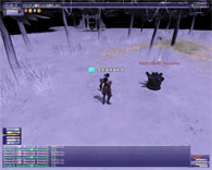 ffxi-00071.jpg