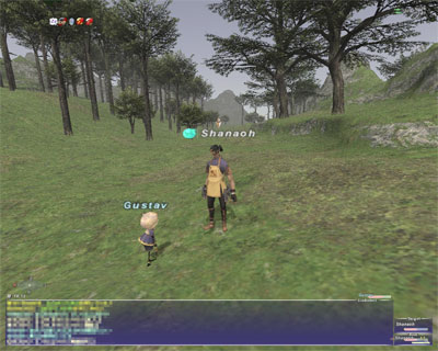 ffxi-00121.jpg