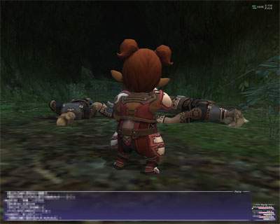 ffxi-00164.jpg