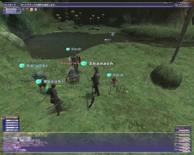 ffxi-00399.jpg