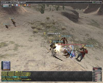 ffxi-20081018-232020.jpg