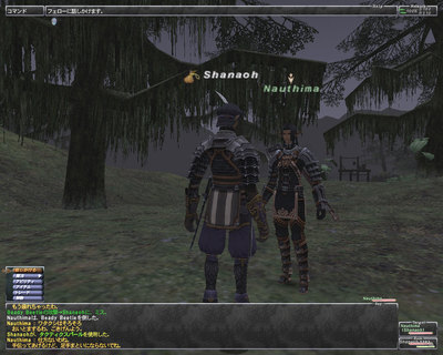 ffxi-20090417-005754.jpg